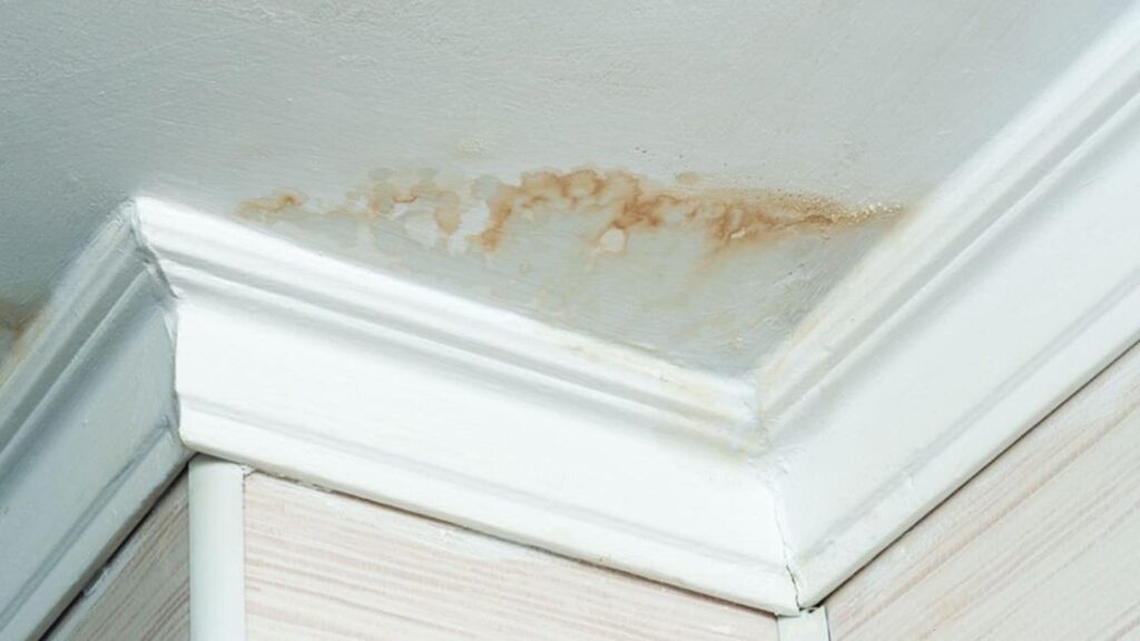 Water Damage In Miami? 4 Tips From A Public Adjuster post