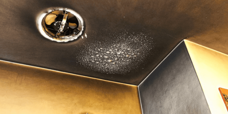 Can A Public Adjuster Help My Claim After Fire Damage? post