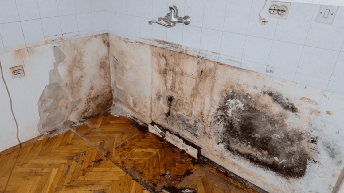 Does Insurance Cover Mold Caused By A Burst Pipe In Ocala? post