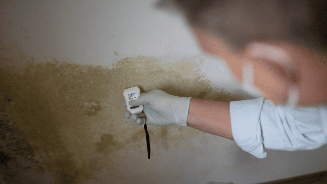 How Do Insurers Calculate Business Interruption From Water Damage? post