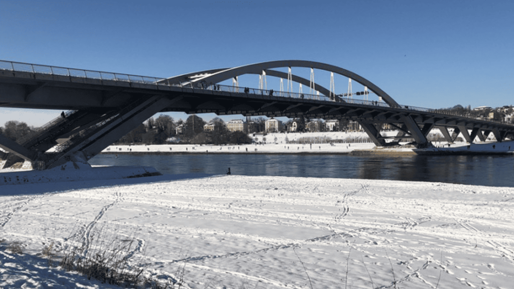 Months After the Deep Freeze, What Should You Be Doing if You Sustained Damage? post