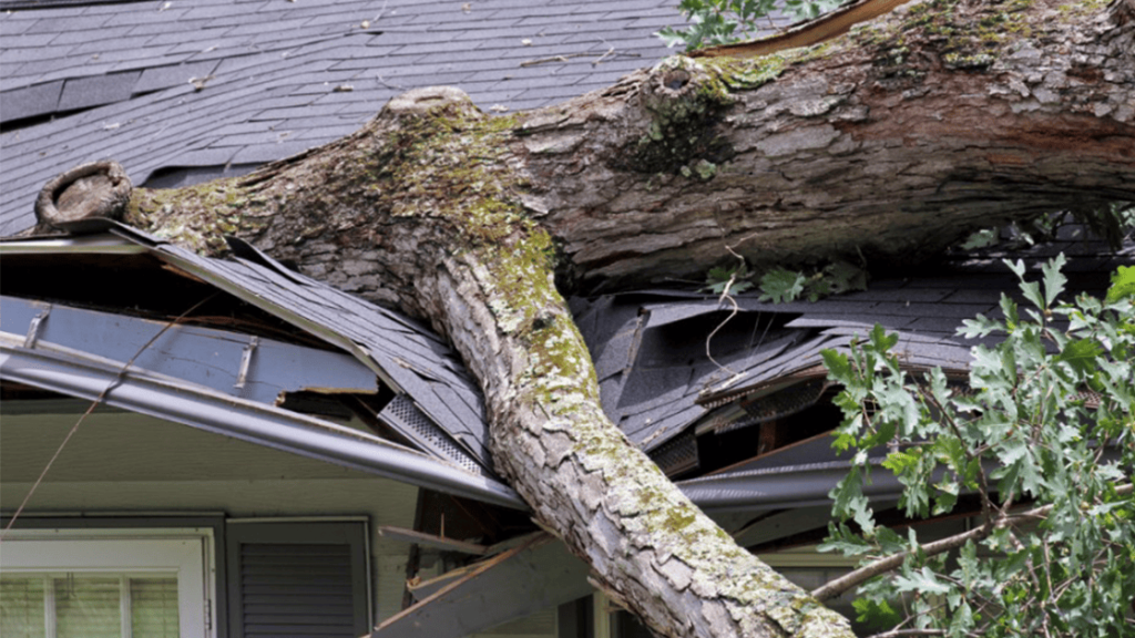 Is Hiring a Public Adjuster Worth It for Roof Damage? post